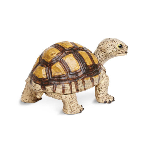 Tortoise