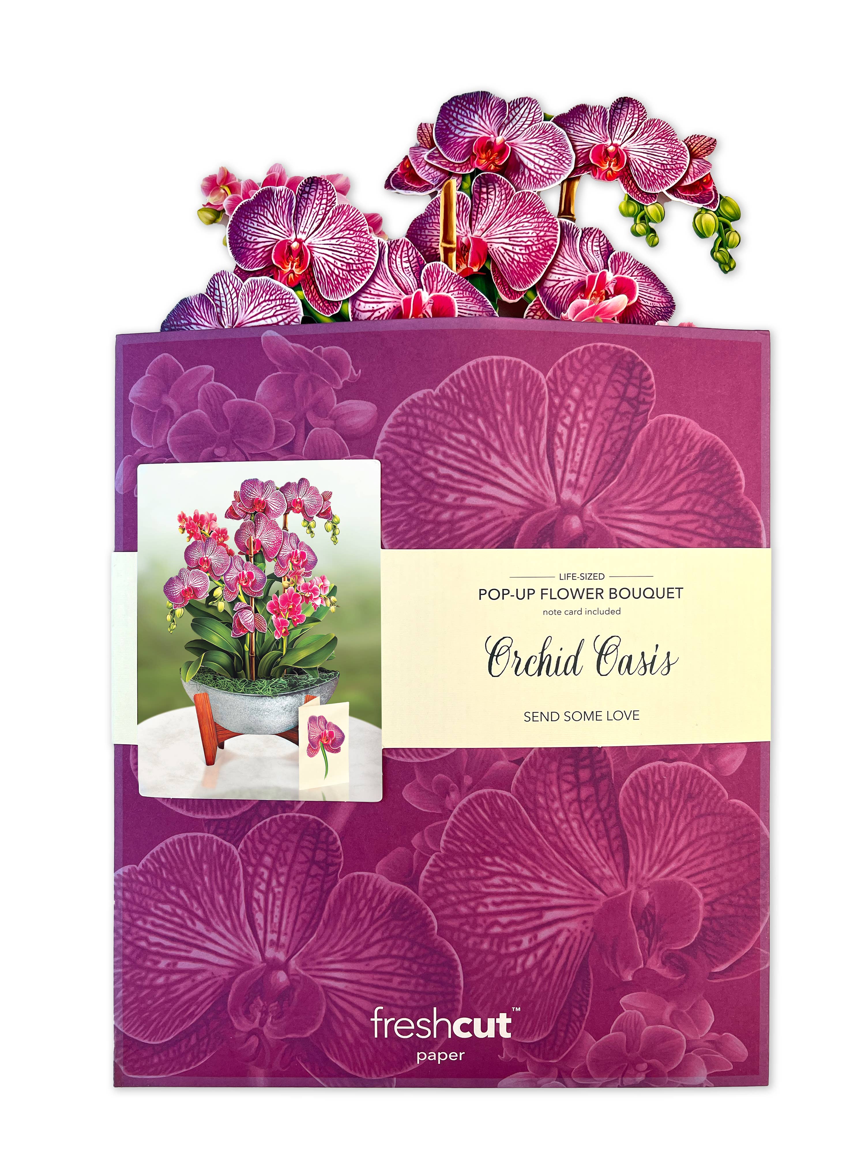 Orchid Oasis Pop-up Greeting Cards