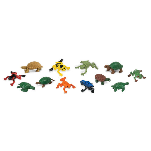 Frogs And Turtles TOOB®