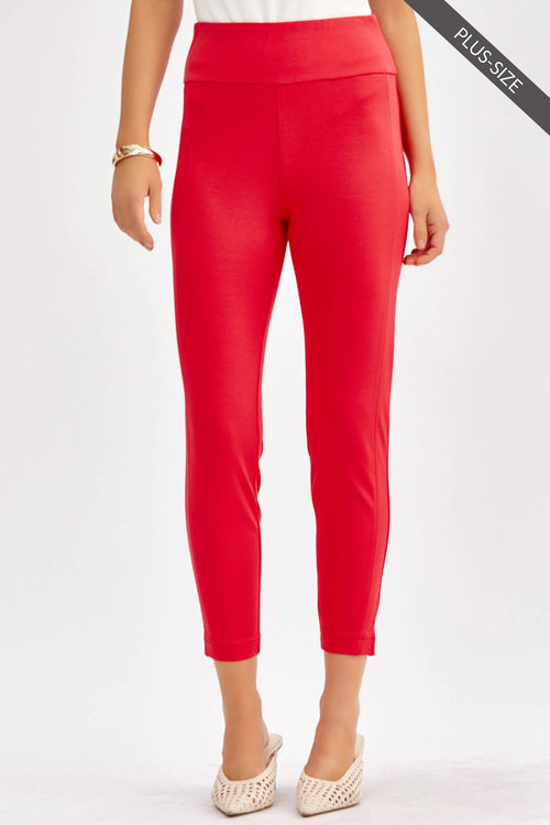 DS ~ PLUS SIZE Magic High Waisted 26" Skinny Pants