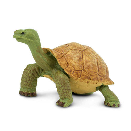 Giant Tortoise