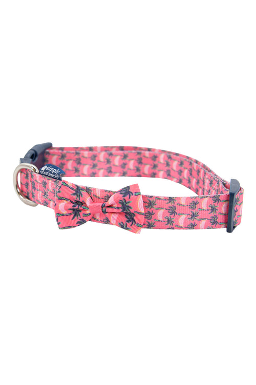 Simply Southern “Hammock” Dog Collar