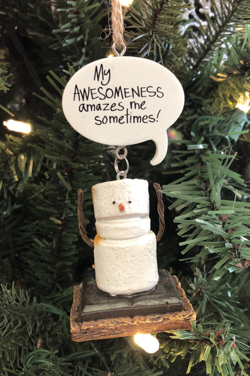 Toasted Awesome S'more Resin Ornament