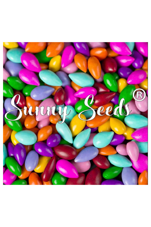Sunny Seeds Chocolate Covered Sunflower Seads by Sunflower Food Company